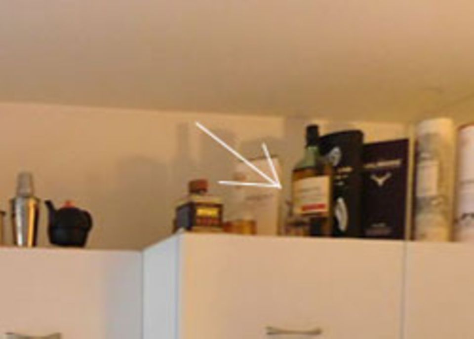 Bilderrätsel: Wer findet die Katze auf diesem Foto? Bilderrätsel: Wer findet die Katze auf diesem Foto?