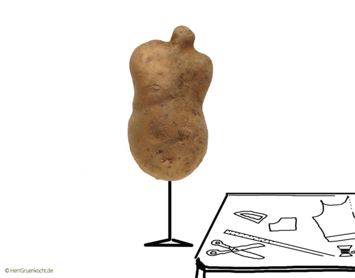 Kartoffel-Büste