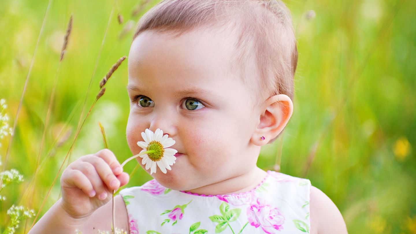 Обоняние детей. Дети с цветами. Ребенок. Ребенок нюхает цветок. Нюхает цветы.
