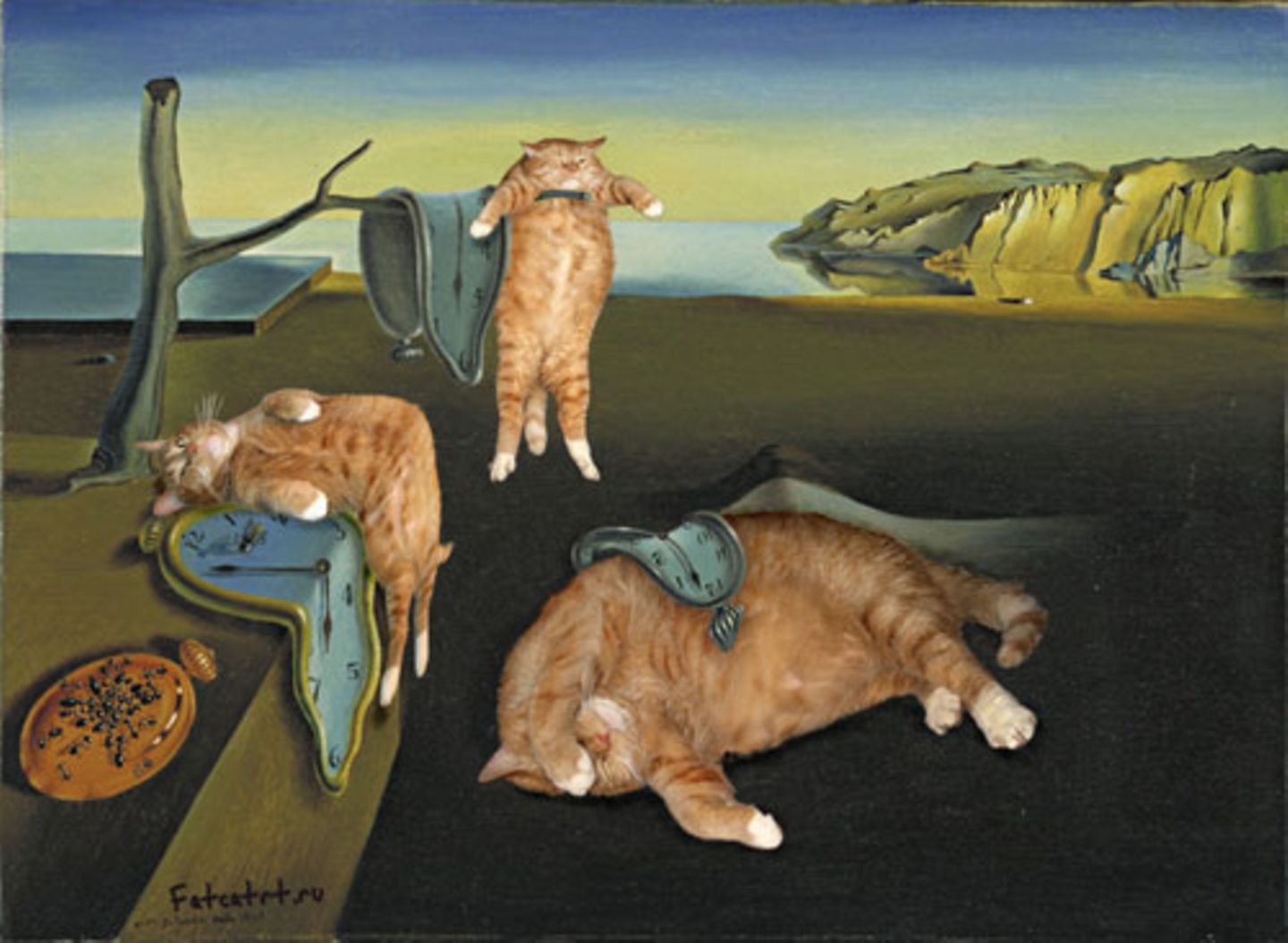 Wir wissen nicht, ob Salvador Dali beim Malen seiner berühmten Uhren vielleicht faulenzende Katzen vor Augen hatte, aber die passen offensichtlich perfekt zusammen.