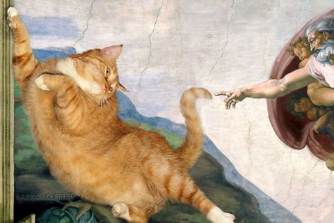 Was macht große Kunst zum Meisterwerk? Eine dicke Katze!