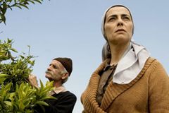 Szenenbild aus "Lemon Tree": Salma und Abu Hussam in ihrem Zitronenhain. Szenenbild aus "Lemon Tree": Salma und Abu Hussam in ihrem Zitronenhain.