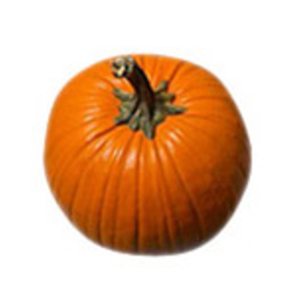 Unsere Lieblinge im Oktober Unsere Lieblinge im Oktober