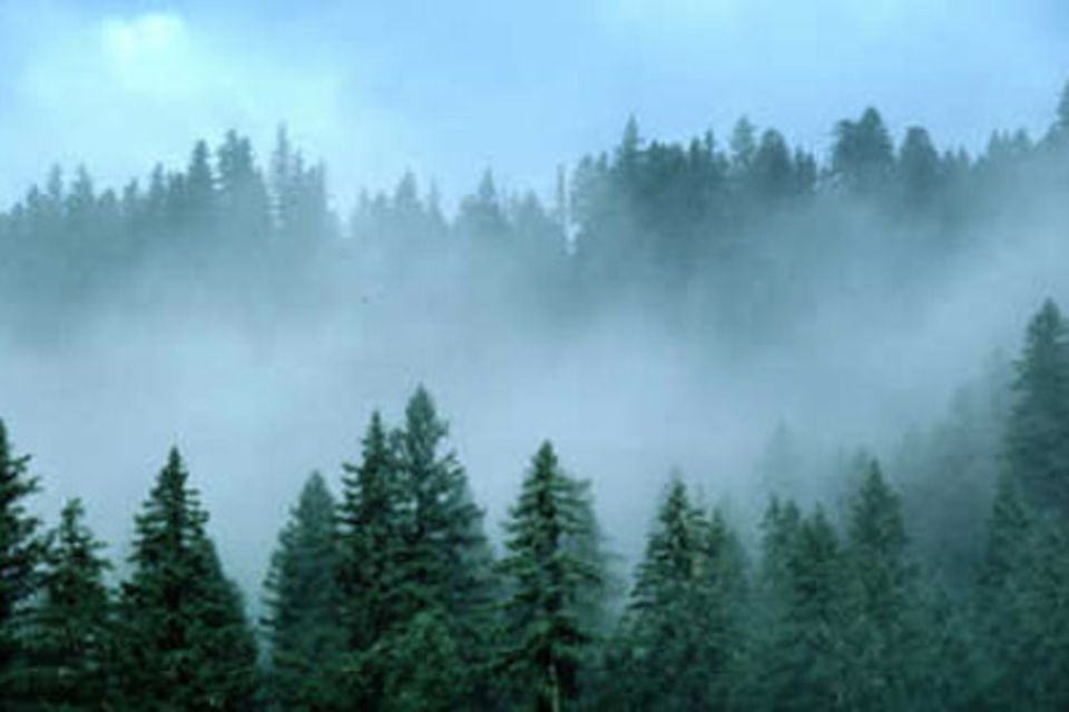 Unsere Tipps gegen Winterfrust Unsere Tipps gegen Winterfrust