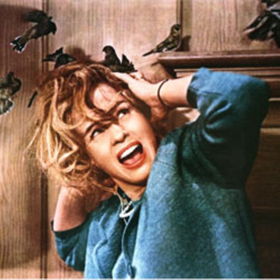 Film-Tipp: Die Vögel