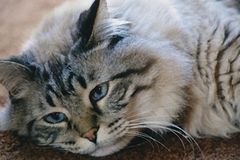 Tipps gegen den Kater Tipps gegen den Kater