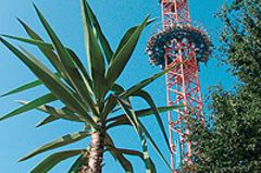 50 Meter freier Fall vom Power-Tower "Monte-Zuma" 50 Meter freier Fall vom Power-Tower "Monte-Zuma"