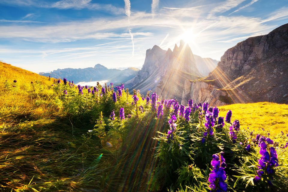 Südtirol ist für alle da! Die schönsten Tipps für euren nächsten Urlaub