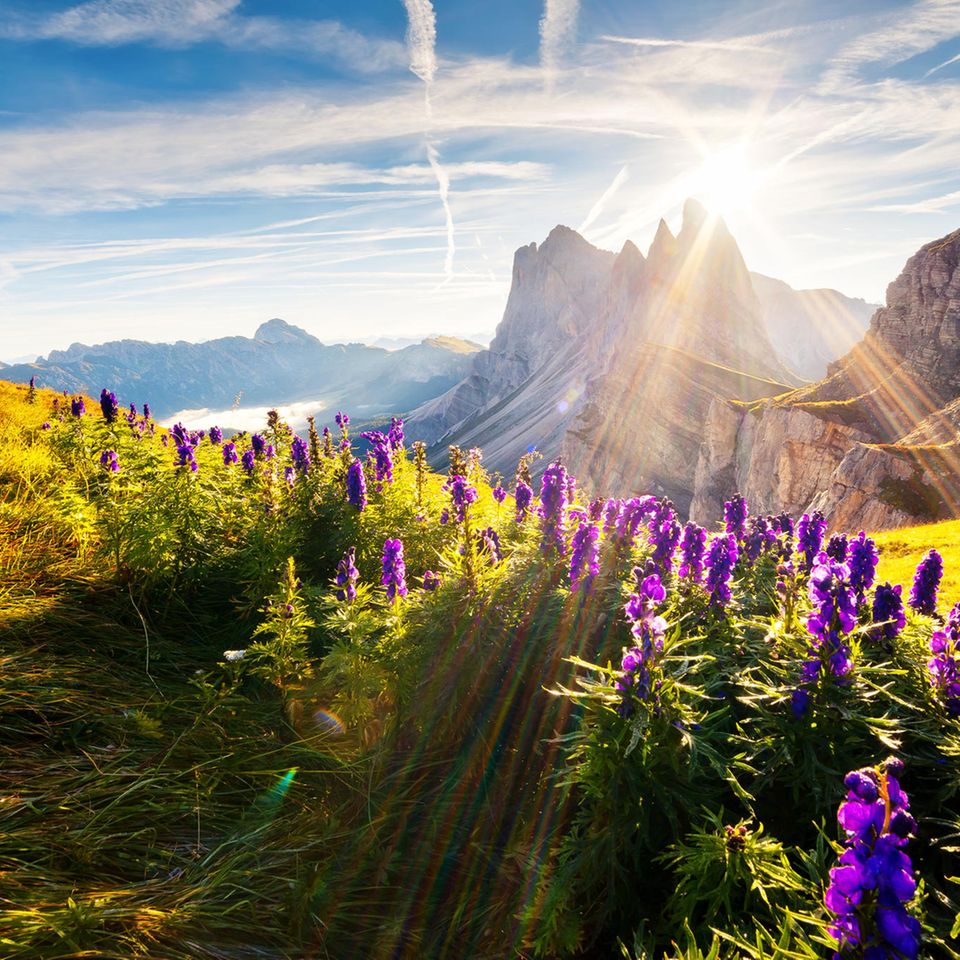 Südtirol ist für alle da! Die schönsten Tipps für euren nächsten Urlaub