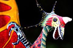 Chinesische Sternzeichen: Welches bist du? Chinesische Sternzeichen: Welches bist du?