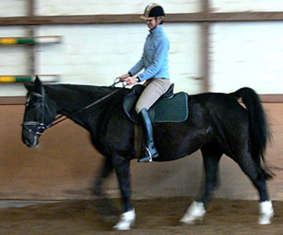 Pferdesport Reiten Lernen Als Erwachsene Ein Selbstversuch Brigitte De