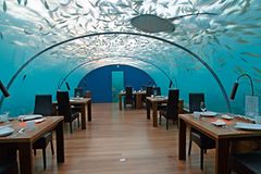 Crazy Hotels: Von Berlin bis Neuseeland Crazy Hotels: Von Berlin bis Neuseeland