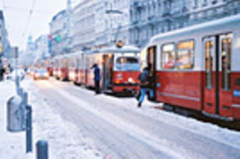 Wien im Winter: Ein kulinarischer Spaziergang