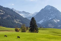 Da fahren wir jetzt hin! Die schönsten Kurztrips im Sommer Da fahren wir jetzt hin! Die schönsten Kurztrips im Sommer