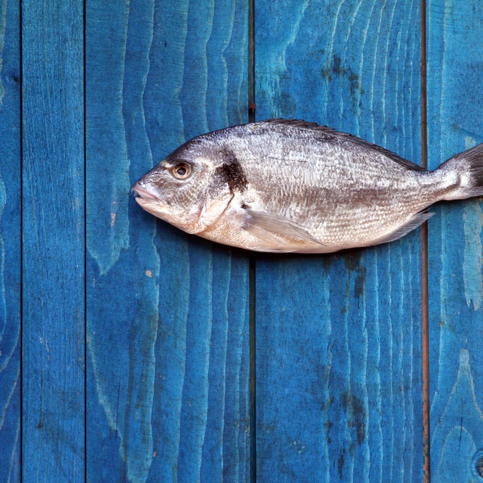 Welchen Fisch können wir bedenkenlos essen?