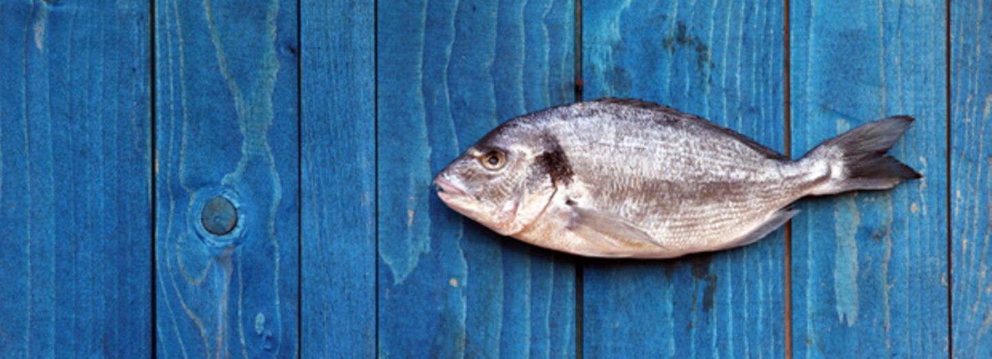 Welchen Fisch können wir bedenkenlos essen?