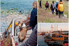 Hundewandern schweißt Mensch und Hund zusammen. Hundewandern schweißt Mensch und Hund zusammen.
