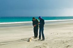 Strandvergnügen auf Schottisch Strandvergnügen auf Schottisch