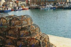 Vom Hafen in Kirkwall, dem Hauptort der Insel Mainland, führen die meisten Fährverbindungen Richtung Norden. Vom Hafen in Kirkwall, dem Hauptort der Insel Mainland, führen die meisten Fährverbindungen Richtung Norden.
