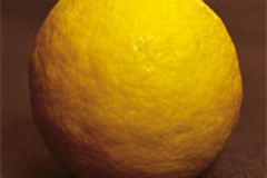 Zitrusfrüchte: Beauty-Aktivisten für Haut und Haar Zitrusfrüchte: Beauty-Aktivisten für Haut und Haar