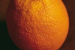 Zitrusfrüchte: Beauty-Aktivisten für Haut und Haar Zitrusfrüchte: Beauty-Aktivisten für Haut und Haar