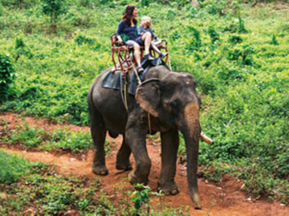Dschungel-Schaukel - Überraschend hoch und schwankend: Elefantendame Sambun trägt Susanne Arndt und Fred, 8, zwar äußerst brav durch den Dschungel im KhaoSok-Nationalpark nördlich von Phuket - trotzdem hofft Susanne inständig, dass die Sitzbank bitte nicht vom Elefantenrücken rutschen möge...