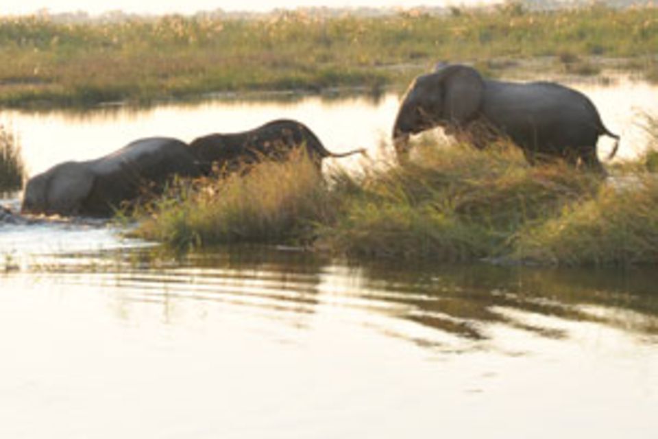 Safari in Namibia: Im Land der großen Flüsse
