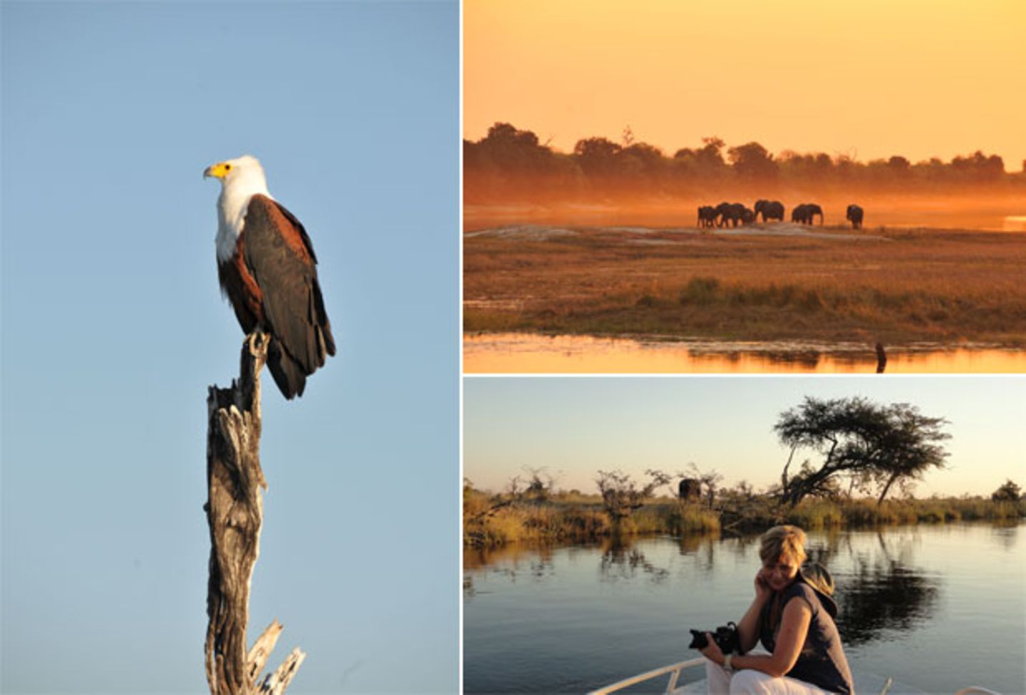 Safari in Namibia: Im Land der großen Flüsse