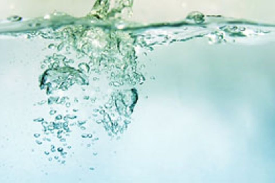 Zitronen-Bicarbonat-Wasser-Diät