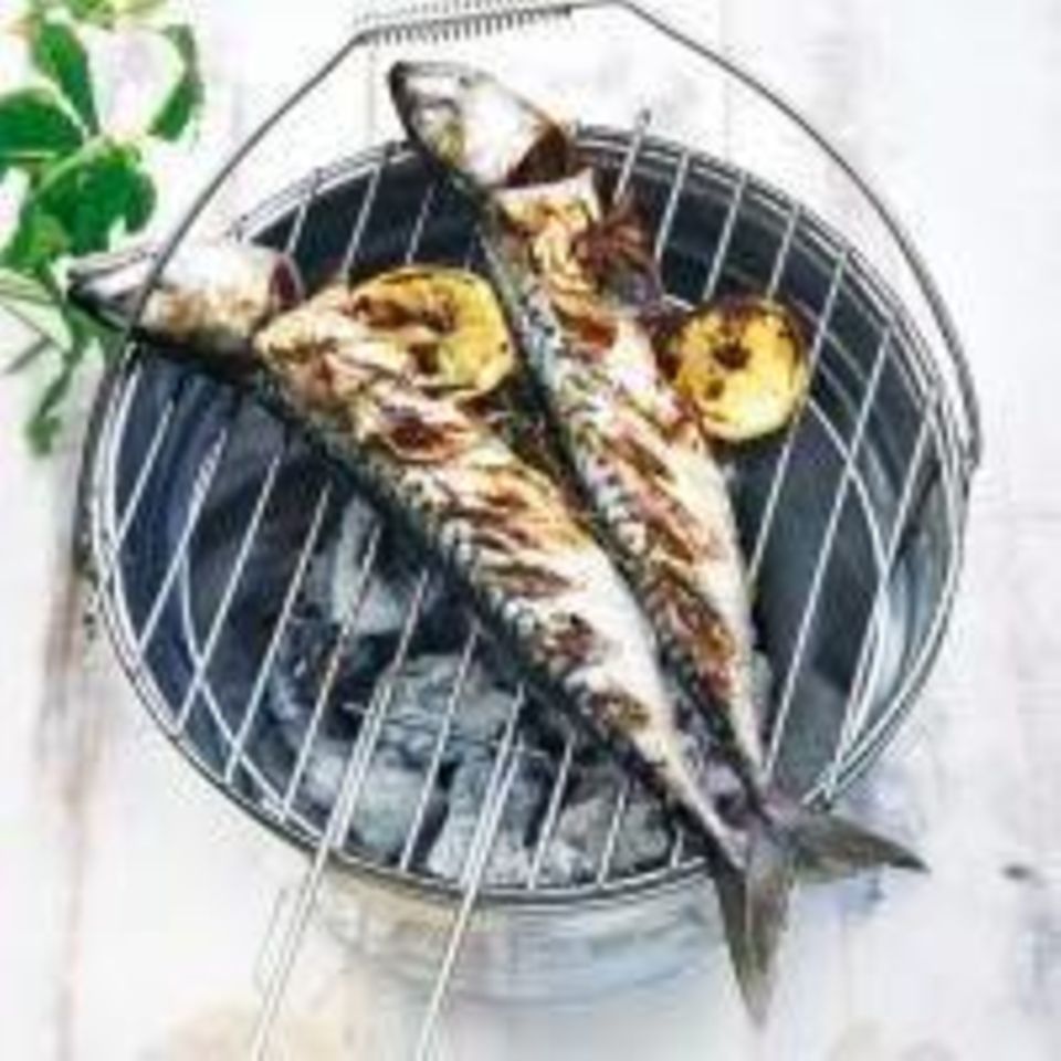 Fisch grillen: Die besten Rezepte und Tipps