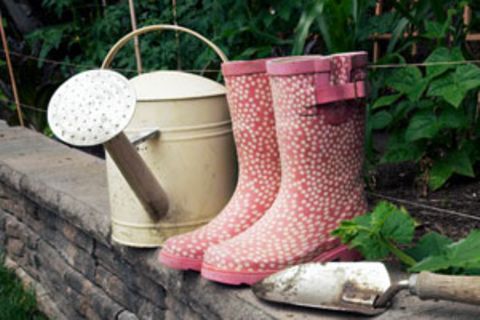 Gartentipps: Grundwissen für Grünlinge
