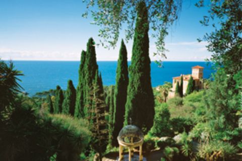 Zum Aufblühen an die Riviera