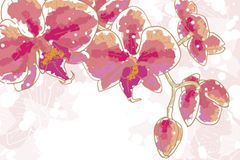Orchideen gedeihen ganz wunderbar in Brasilien - und sind eine beliebte Ingredienzie für Parfüms. Orchideen gedeihen ganz wunderbar in Brasilien - und sind eine beliebte Ingredienzie für Parfüms.