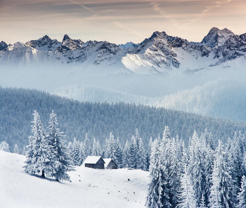 Winterfreuden: Jetzt noch schnell den Winter genießen! Winterfreuden: Jetzt noch schnell den Winter genießen!
