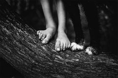 Pures Glück: Erkennt ihr, was auf diesen Kinder-Bildern fehlt? Pures Glück: Erkennt ihr, was auf diesen Kinder-Bildern fehlt?
