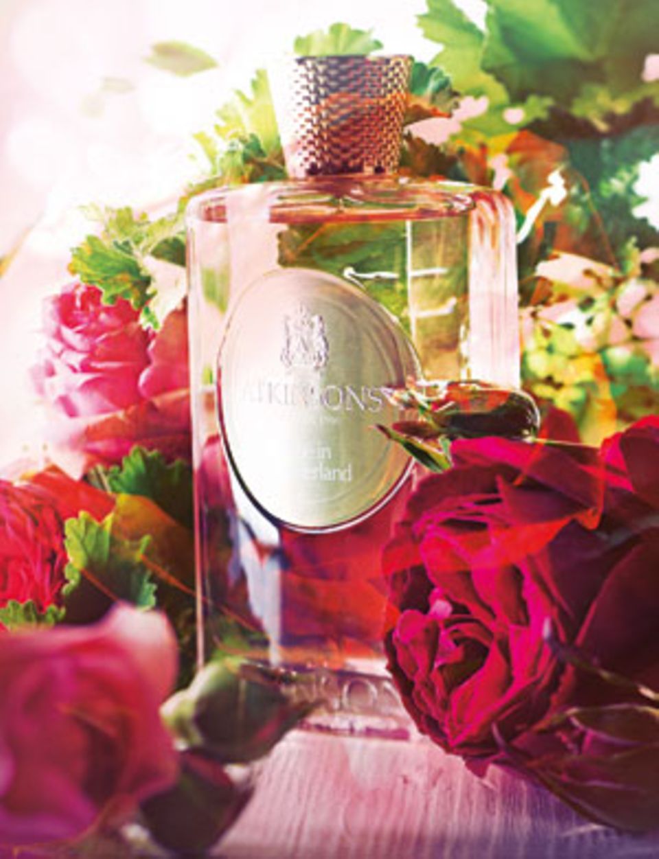 "Rose in Wonderland" von Atkinsons, Eau de Parfum, 100 ml ca. 130 Euro