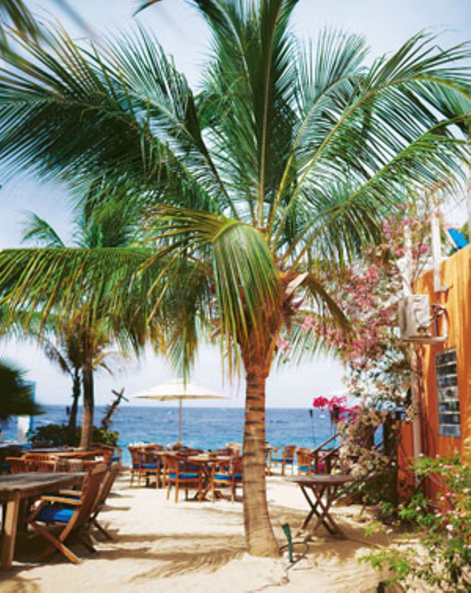 Curaçao: Palmen und Meer gibt"s in der "Scuba Lodge" als Zugabe zum Frühstück