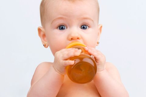 Pflanzengift in Baby-Kräutertee