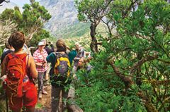 La Gomera: Valle Gran Rey - charmant wie eh und je! La Gomera: Valle Gran Rey - charmant wie eh und je!