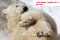 Achtung, MOM! Wir werben für Respekt Achtung, MOM! Wir werben für Respekt