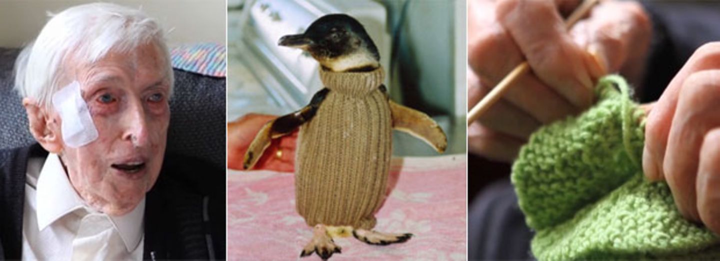109-jähriger Australier strickt Pullis für Pinguine
