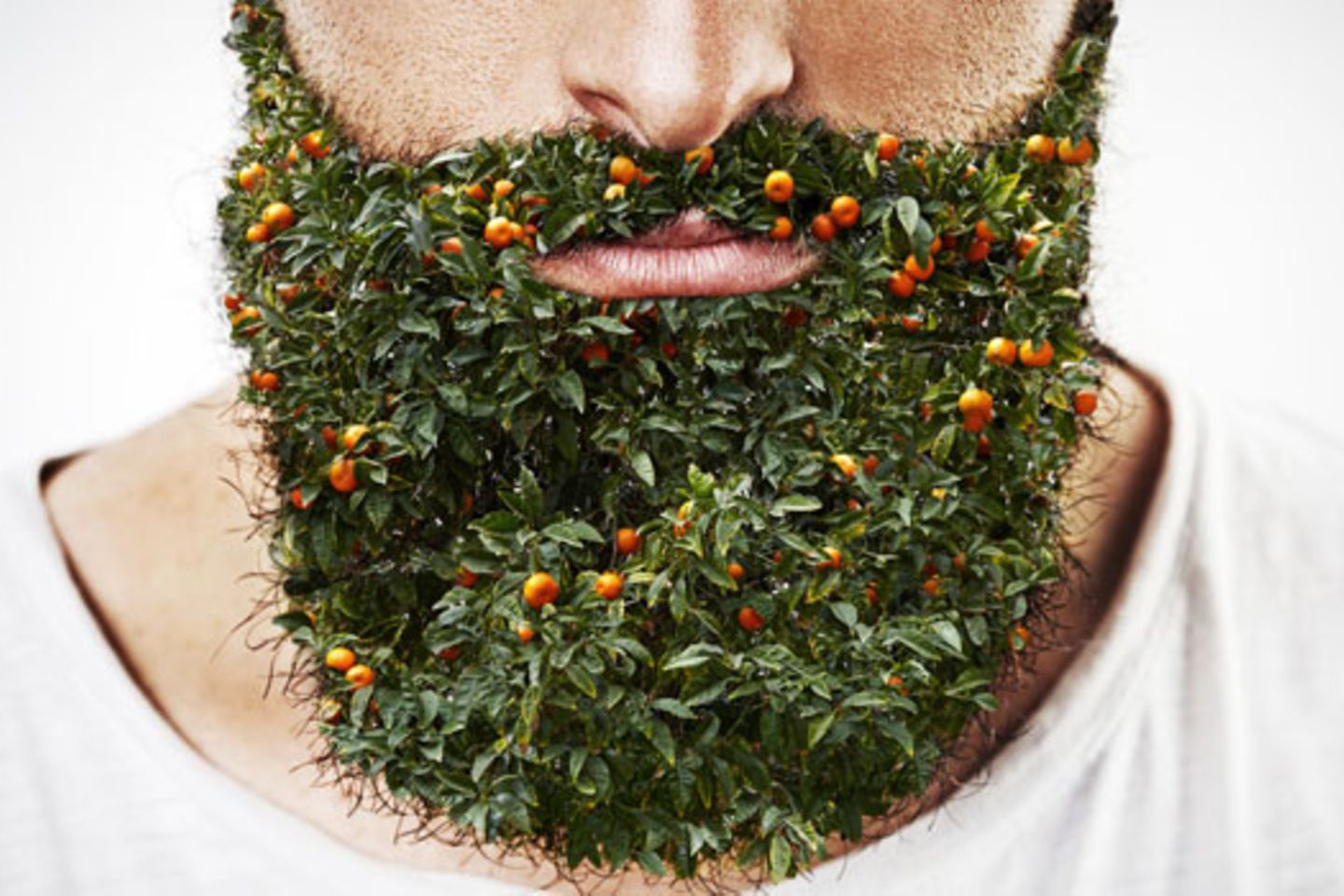 Download Maenner mit bart sprueche For iPhone