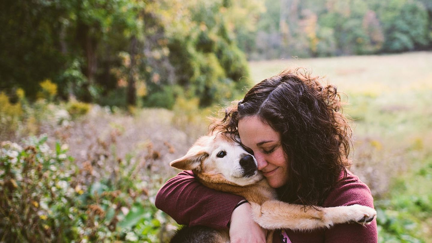 Hers dog. Девушка обнимает собаку. Объятия с собакой. Двушка обнимает собаку. Человек обнимает собаку.