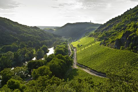 Herbsttage im Nahetal