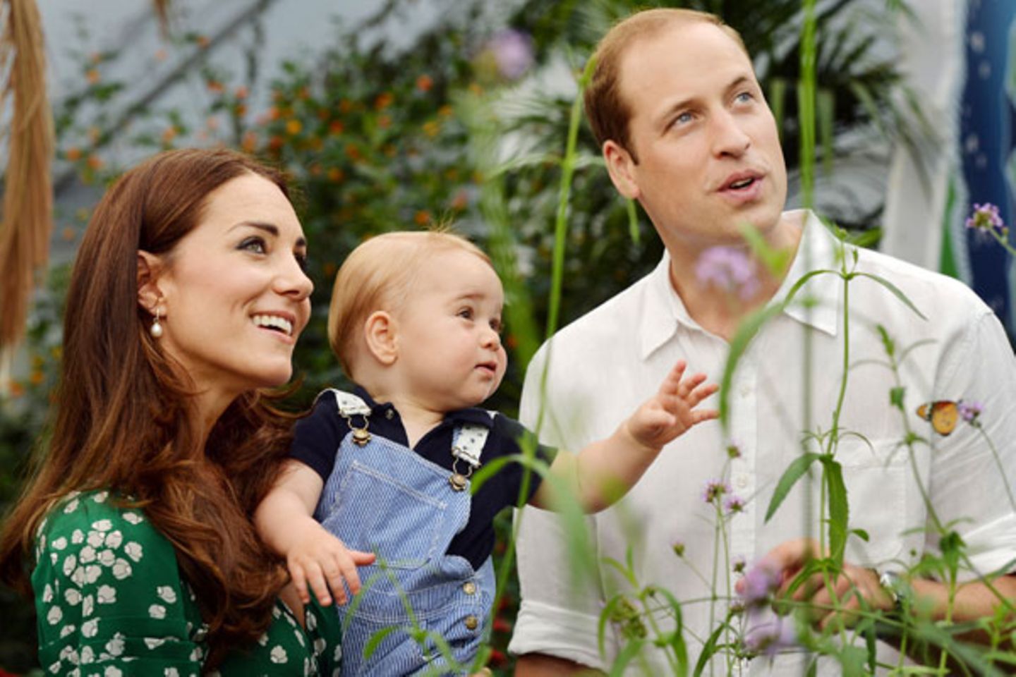 William und Kate: Zweites Kind unterwegs
