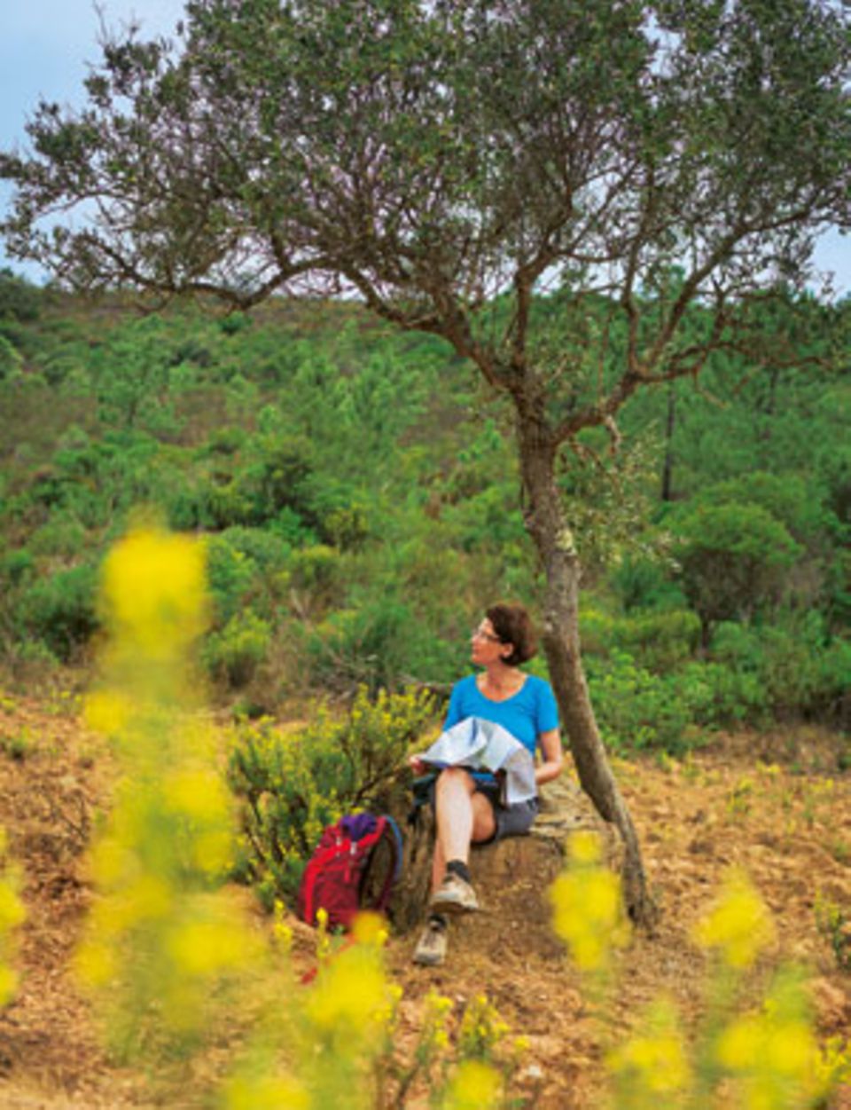 Wandern in Portugal: Kleine Pause: BRIGITTE-Redakteurin Doris Ehrhardt fand landeinwärts etwas Schatten. Kleine Pause: BRIGITTE-Redakteurin Doris Ehrhardt fand landeinwärts etwas Schatten.