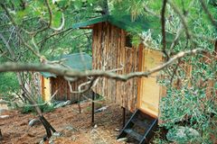 Im Wald: Hütten im "Hizir Kamp" im Ida-Gebirge Im Wald: Hütten im "Hizir Kamp" im Ida-Gebirge