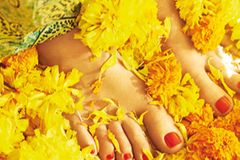 Kosmetik aus Blüten - Danke für die Blumen Kosmetik aus Blüten - Danke für die Blumen