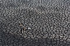 Tierfotografie: Die besten Bilder des Jahres Tierfotografie: Die besten Bilder des Jahres