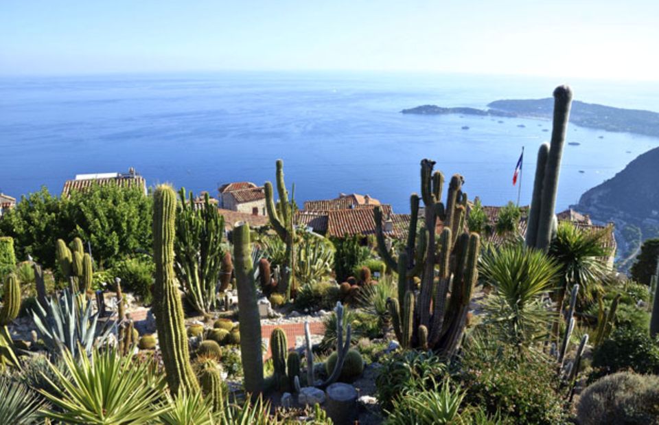 Côte d'Azur: Blick ins Blaue vom "Jardin Exotique" in Eze